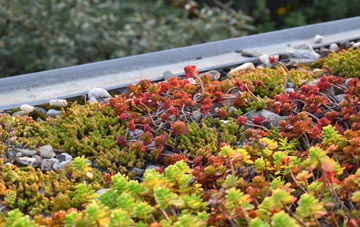 the cost of West Down green roof installation