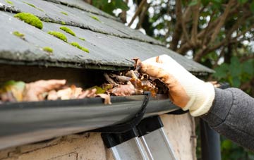 gutter cleaning West Down