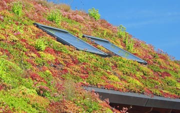 West Down living roof systems