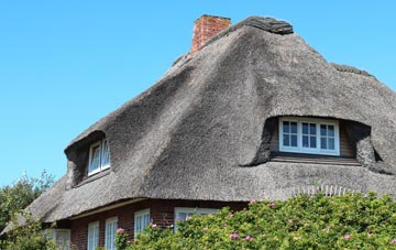 thatch roofing West Down
