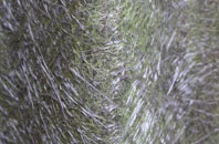 West Down fibreglass roof work